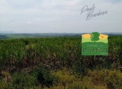 iportofeliz-imobiliaria-porto-feliz-fazenda-em-piracicaba05