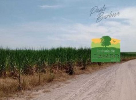 iportofeliz-imobiliaria-porto-feliz-fazenda-em-piracicaba09