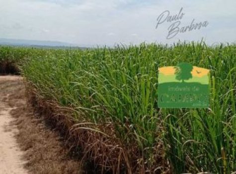 iportofeliz-imobiliaria-porto-feliz-fazenda-em-piracicaba11