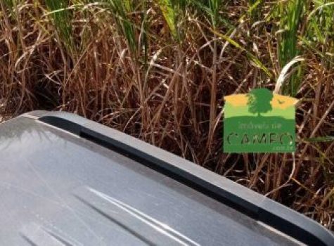 iportofeliz-imobiliaria-porto-feliz-fazenda-em-piracicaba14