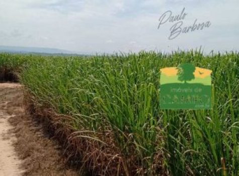 iportofeliz-imobiliaria-porto-feliz-fazenda-em-piracicaba17