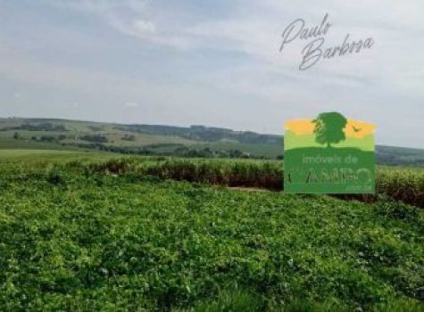 iportofeliz-imobiliaria-porto-feliz-fazenda-em-piracicaba18