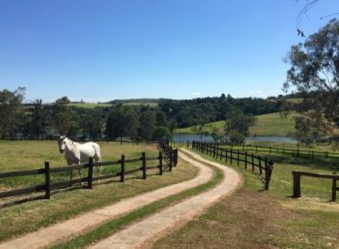 iportofeliz-imobiliaria-porto-feliz-fazenda-em-porto-feliz06