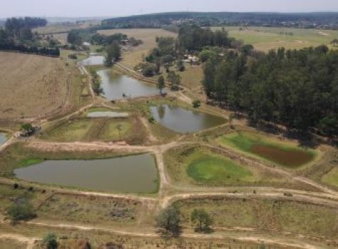 iportofeliz-imobiliaria-porto-feliz-fazenda-em-porto-feliz07