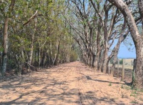 iportofeliz-imobiliaria-porto-feliz-fazenda-em-porto-feliz11