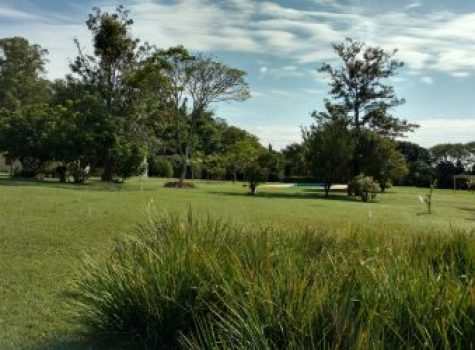 iportofeliz-imobiliaria-porto-feliz-fazenda-em-tatui02