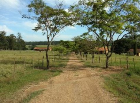 iportofeliz-imobiliaria-porto-feliz-fazenda-em-tatui07