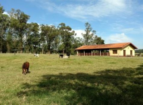 iportofeliz-imobiliaria-porto-feliz-fazenda-em-tatui10