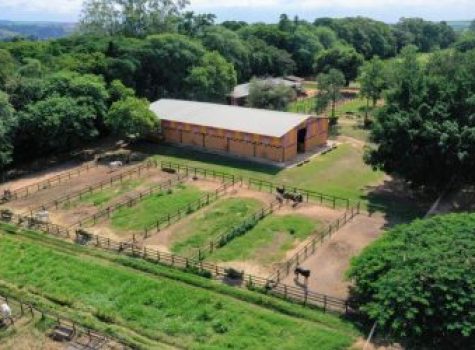 iportofeliz-imobiliaria-porto-feliz-haras-008