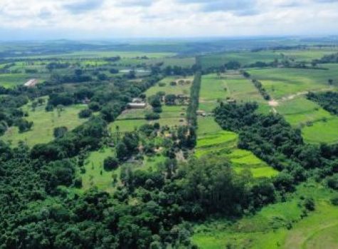 iportofeliz-imobiliaria-porto-feliz-haras-012