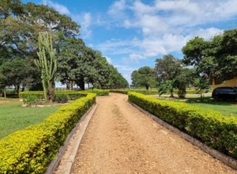 iportofeliz-imobiliaria-porto-feliz-haras-013