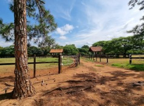 iportofeliz-imobiliaria-porto-feliz-haras-019