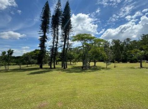 iportofeliz-imobiliaria-porto-feliz-haras-026