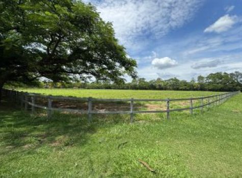 iportofeliz-imobiliaria-porto-feliz-haras-029