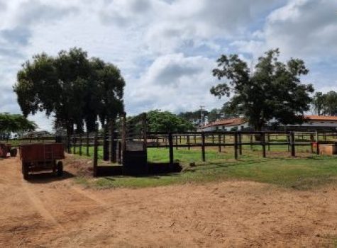 iportofeliz-imobiliaria-porto-feliz-haras-033