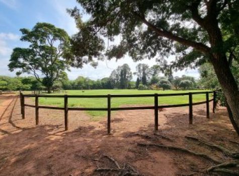 iportofeliz-imobiliaria-porto-feliz-haras-034