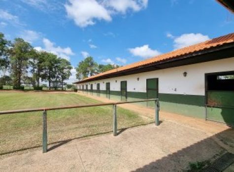 iportofeliz-imobiliaria-porto-feliz-haras-037