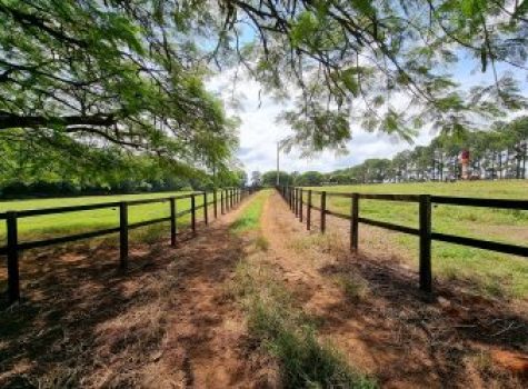 iportofeliz-imobiliaria-porto-feliz-haras-039