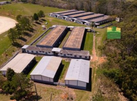 iportofeliz-imobiliaria-porto-feliz-haras-04