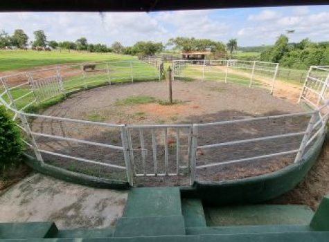 iportofeliz-imobiliaria-porto-feliz-haras-041