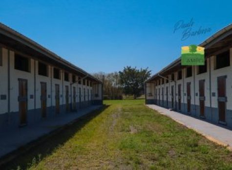 iportofeliz-imobiliaria-porto-feliz-haras-05-1