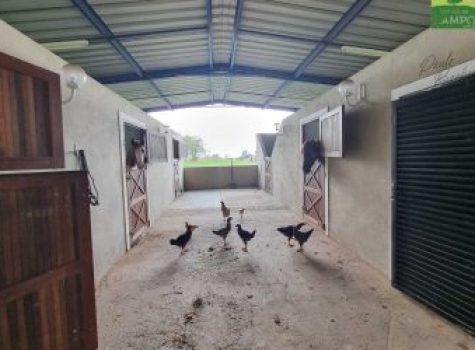 iportofeliz-imobiliaria-porto-feliz-haras-08-1