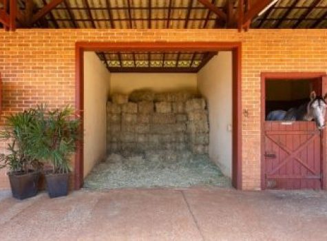 iportofeliz-imobiliaria-porto-feliz-haras-cesario-lange10