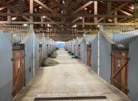 iportofeliz-imobiliaria-porto-feliz-haras-em-quadra041