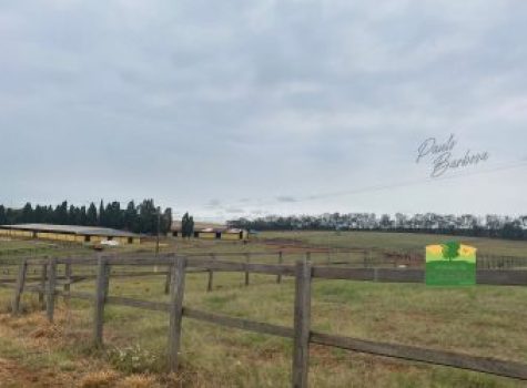 iportofeliz-imobiliaria-porto-feliz-haras-em-tatui10