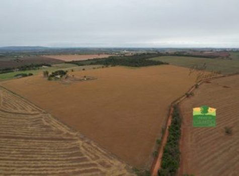 iportofeliz-imobiliaria-porto-feliz-haras-em-tatui11