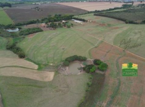 iportofeliz-imobiliaria-porto-feliz-haras-em-tatui12