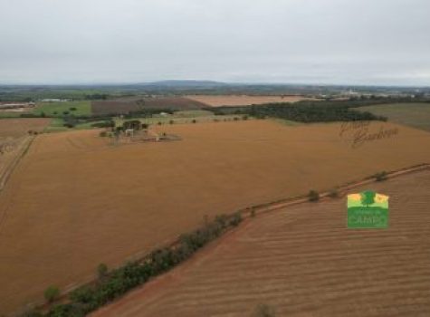 iportofeliz-imobiliaria-porto-feliz-haras-em-tatui14