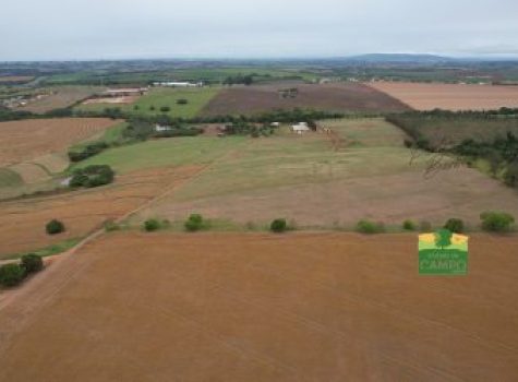 iportofeliz-imobiliaria-porto-feliz-haras-em-tatui15