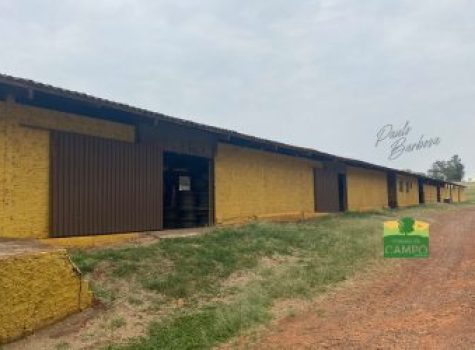 iportofeliz-imobiliaria-porto-feliz-haras-em-tatui16