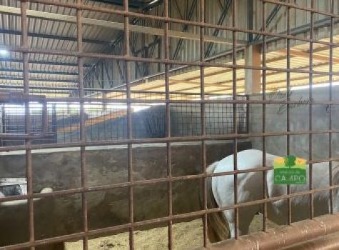 iportofeliz-imobiliaria-porto-feliz-haras-em-tatui17