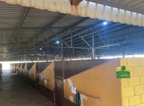 iportofeliz-imobiliaria-porto-feliz-haras-em-tatui18