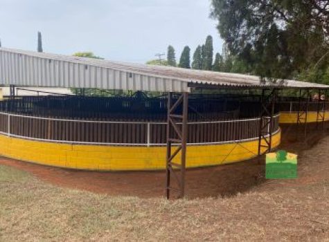 iportofeliz-imobiliaria-porto-feliz-haras-em-tatui24