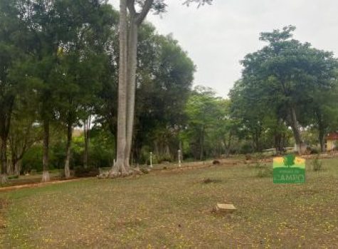 iportofeliz-imobiliaria-porto-feliz-haras-em-tatui26