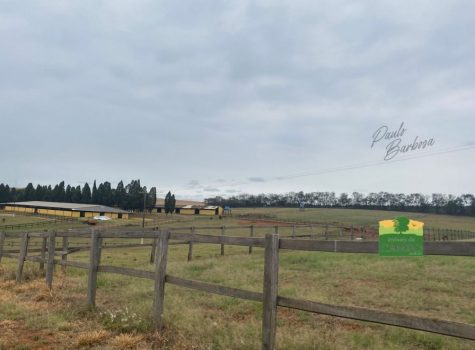 iportofeliz-imobiliaria-porto-feliz-haras-em-tatui27