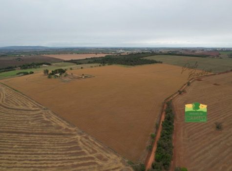 iportofeliz-imobiliaria-porto-feliz-haras-em-tatui28