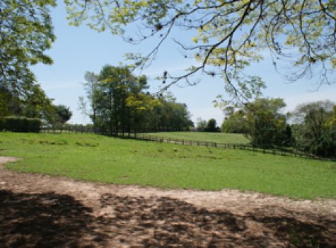 iportofeliz-imobiliaria-porto-feliz-haras-rodovia-castello-branco02-2