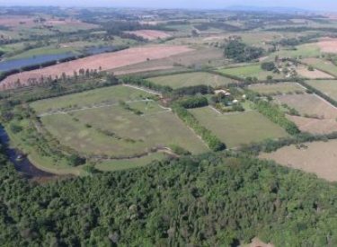 iportofeliz-imobiliaria-porto-feliz-haras-rodovia-castello-branco05-1