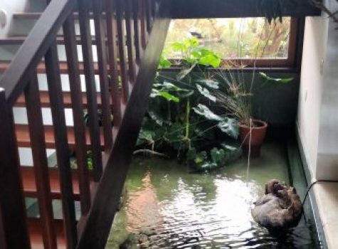 iportofeliz-imobiliaria-porto-feliz-haras-rodovia-castello-branco09