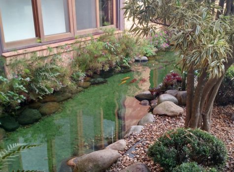 iportofeliz-imobiliaria-porto-feliz-haras-rodovia-castello-branco12