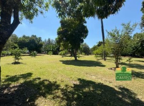 iportofeliz-imobiliaria-porto-feliz-haras-rodovia-marechal-rondon03