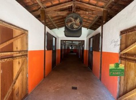 iportofeliz-imobiliaria-porto-feliz-haras-rodovia-marechal-rondon18