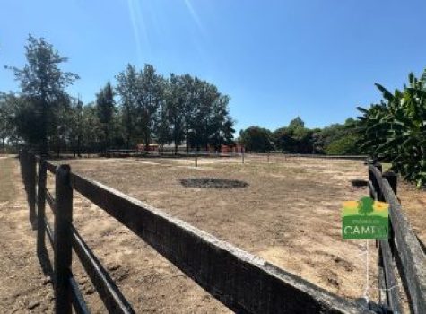 iportofeliz-imobiliaria-porto-feliz-haras-rodovia-marechal-rondon28