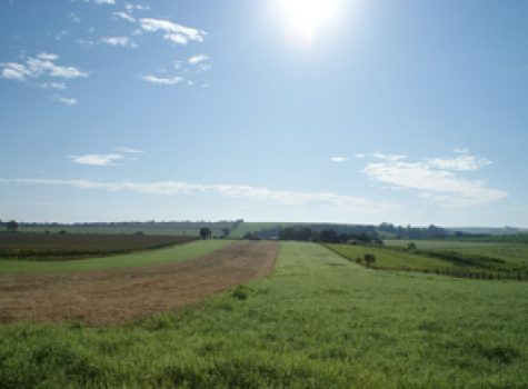 iportofeliz-imobiliaria-porto-feliz-haras-tiete-castello-branco05