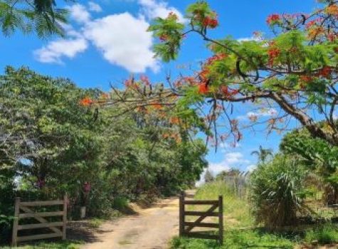 iportofeliz-imobiliaria-porto-feliz-sitio-bom-retiro09