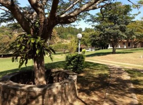 iportofeliz-imobiliaria-porto-feliz-sitio-condominio-farm13